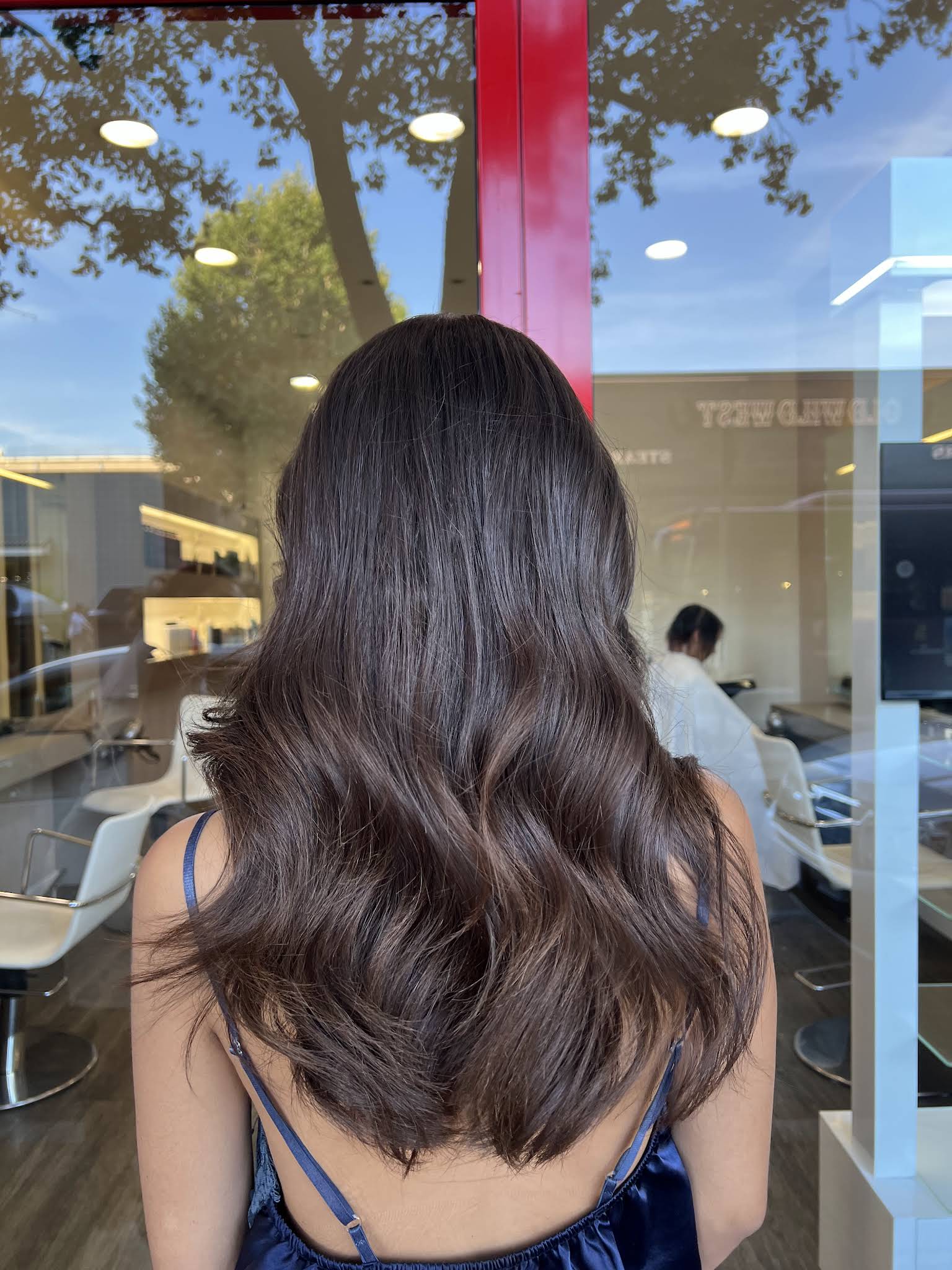 Capelli lunghi scuri